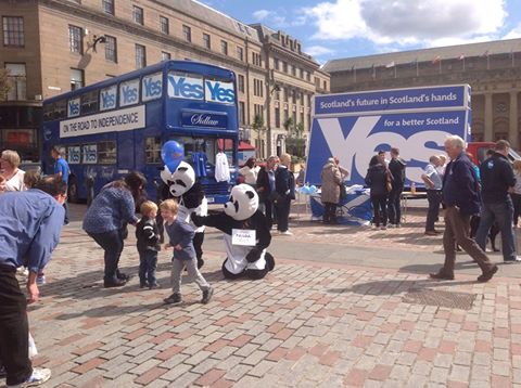 I shake my head and&nbsp;wonder